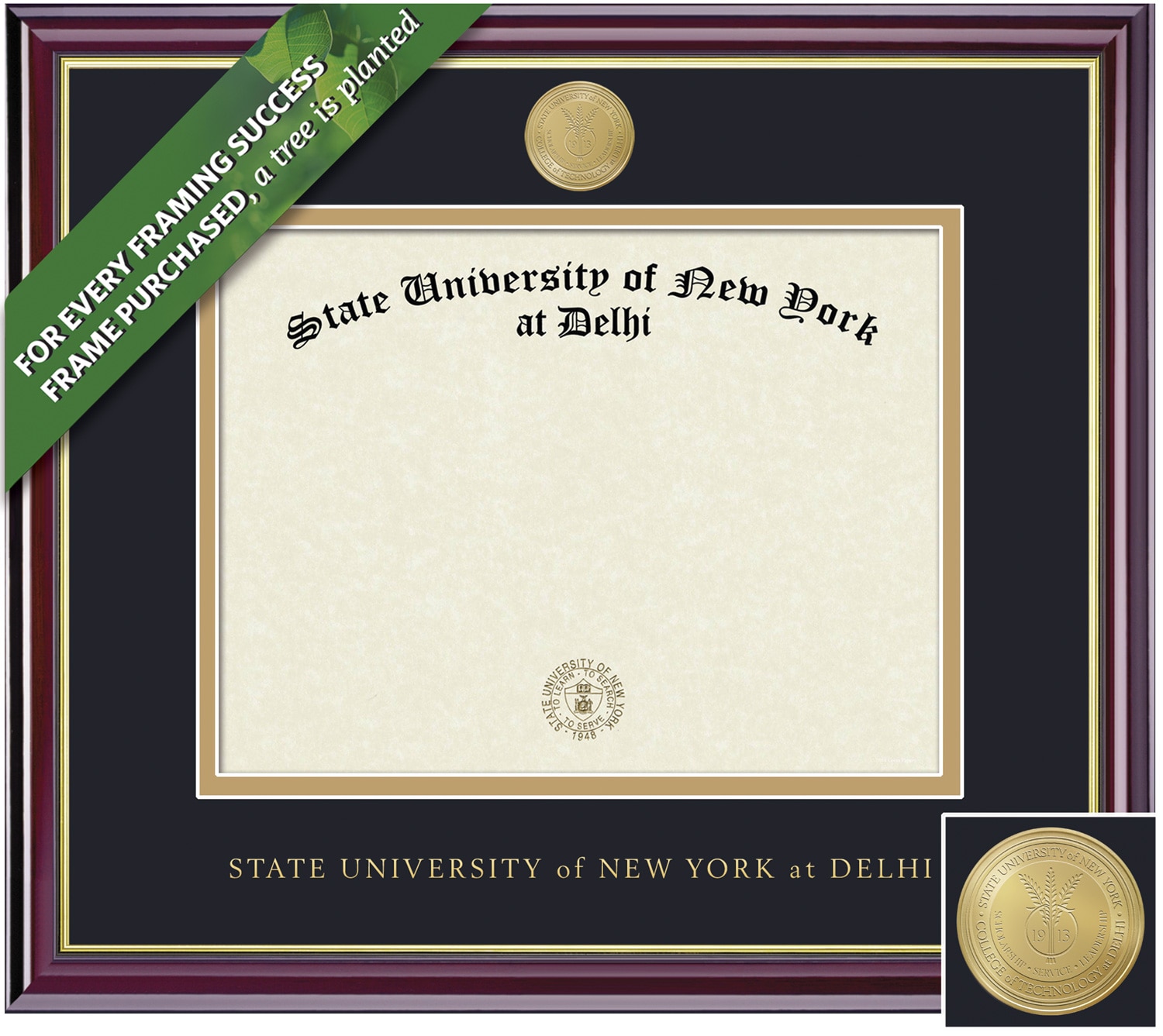 Framing Success 8.5 x 11 Windsor Gold Medallion Masters Diploma Frame