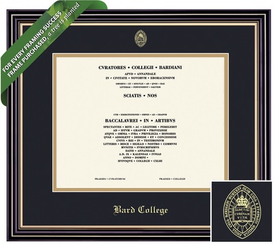 Framing Success 8 x 10 Prestige Gold Embossed School Seal Bachelors Diploma Frame