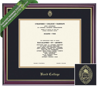 Framing Success 8 x 10 Windsor Gold Embossed School Seal Bachelors Diploma Frame