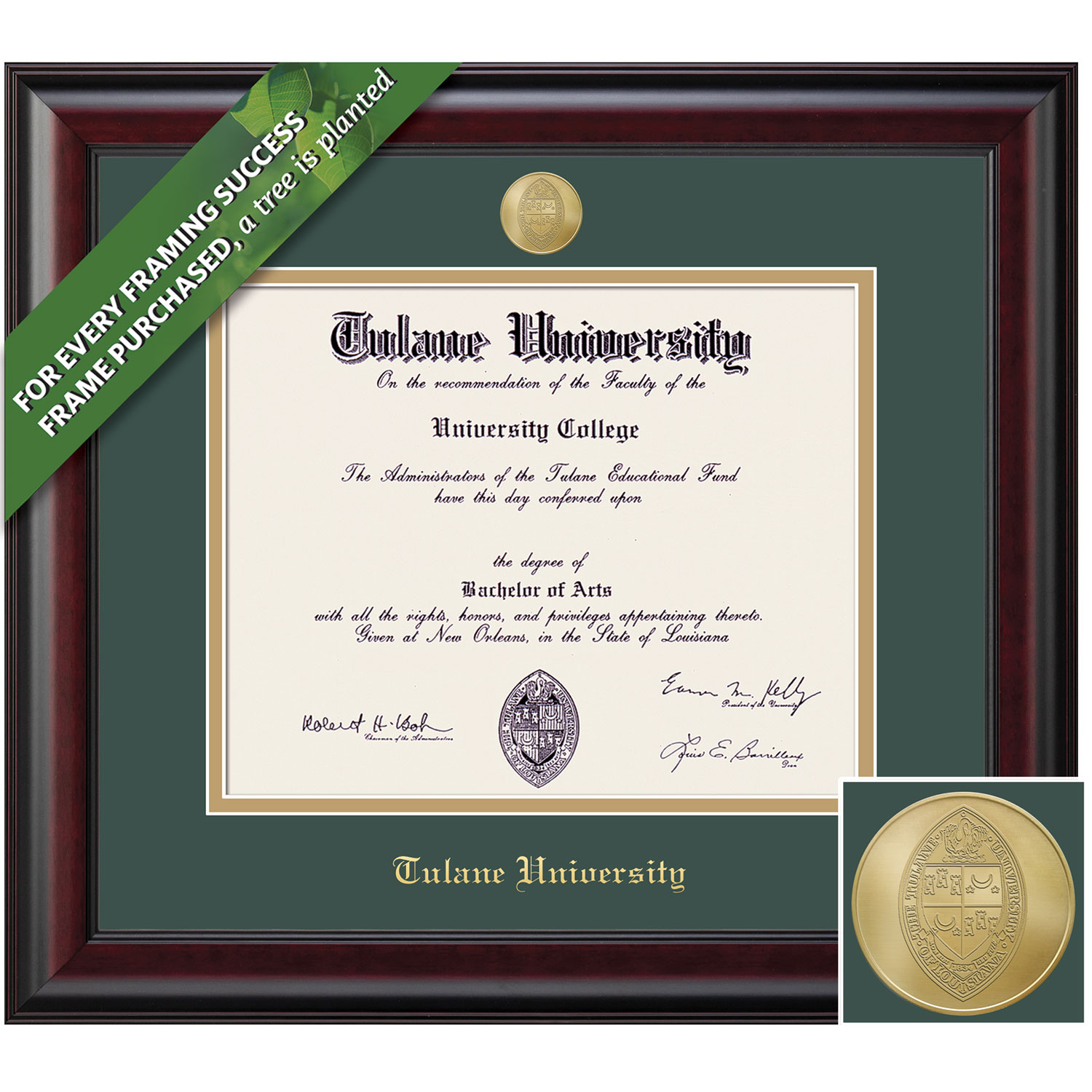 Framing Success 14 x 17 Classic Gold Medallion Masters Diploma Frame