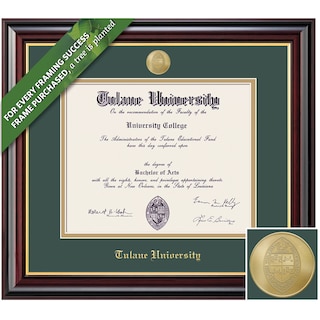 Framing Success 14 x 17 Windsor Gold Medallion Masters Diploma Frame