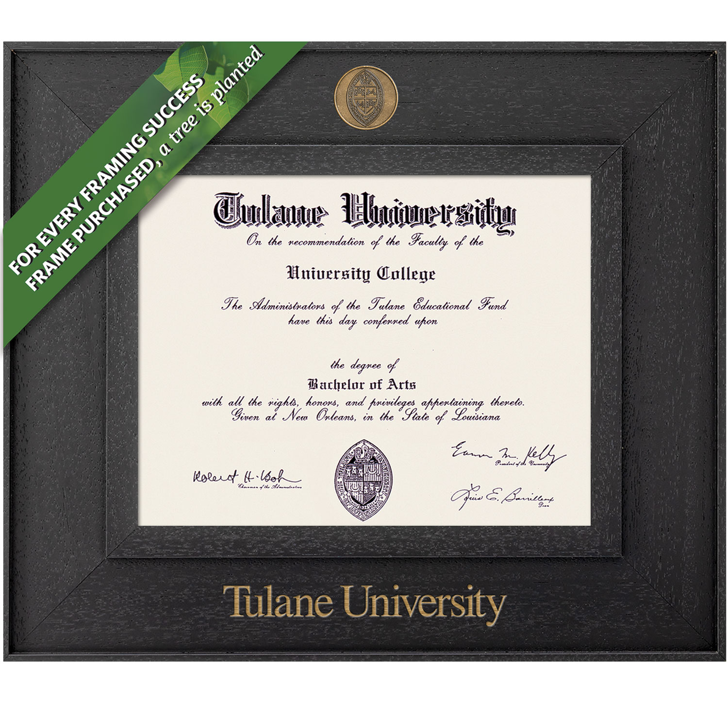 Framing Success 8.5 x 11 Cavalier Antiqued Medallion Bachelors Diploma Frame