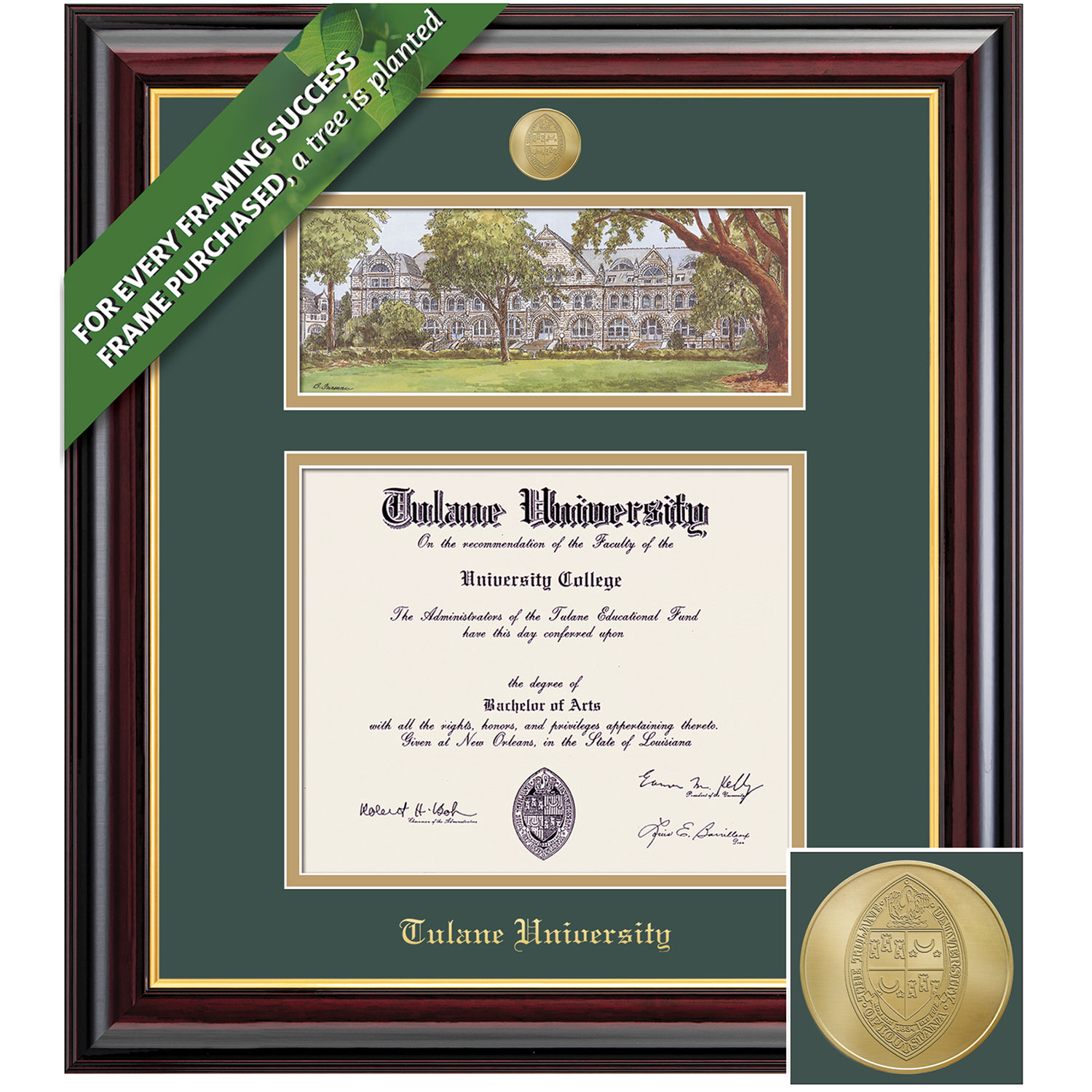 Framing Success 8.5 x 11 Windsor Gold Medallion Bachelors Diploma/Litho Frame