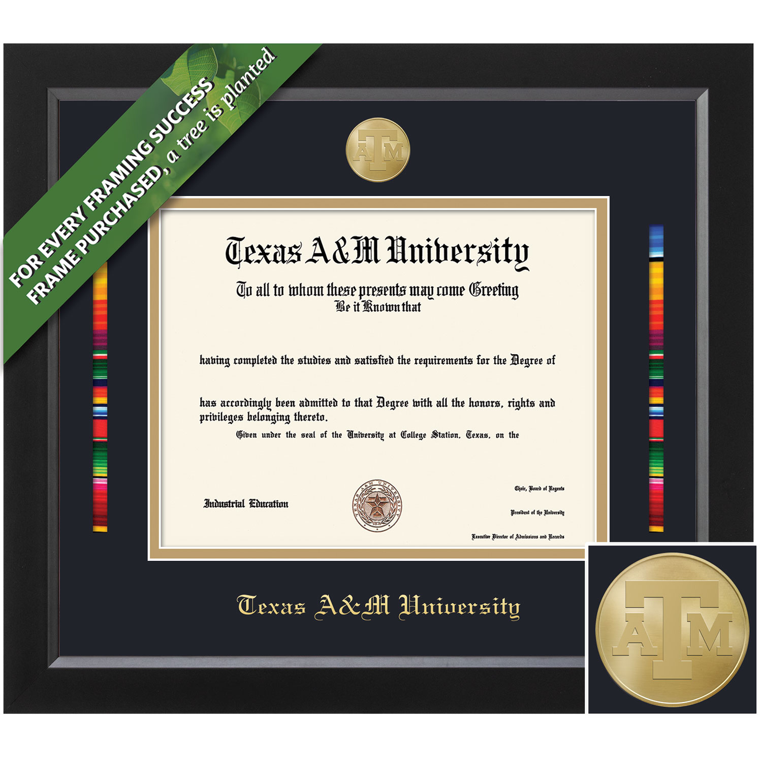 Framing Success 12 x 16 Spirit Gold Medallion Bachelors Masters Doctorate Diploma/Serape Ribbon Frame