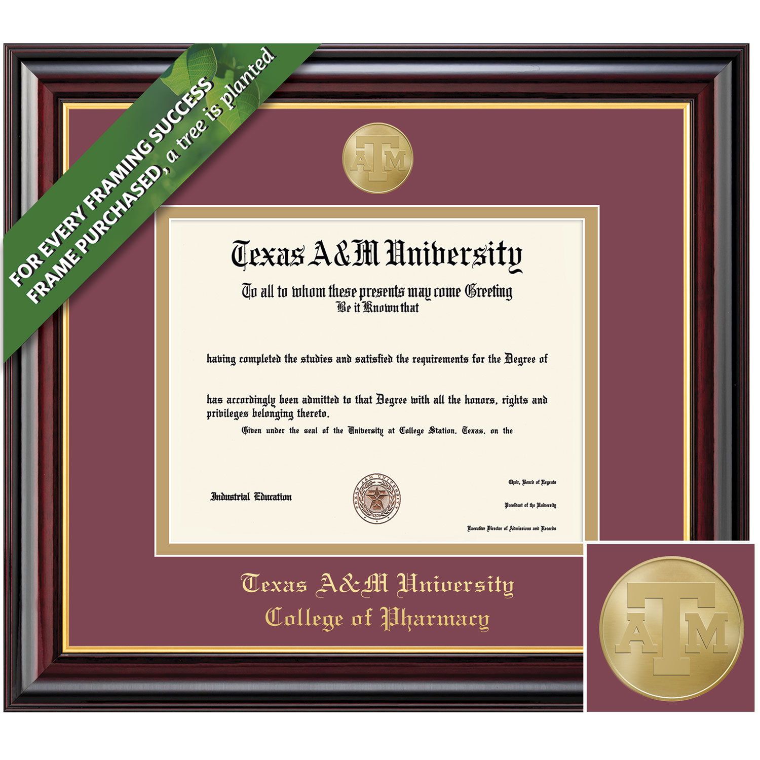 Framing Success 12.5 x 16 Windsor Gold Medallion College of Pharmacy Diploma Frame