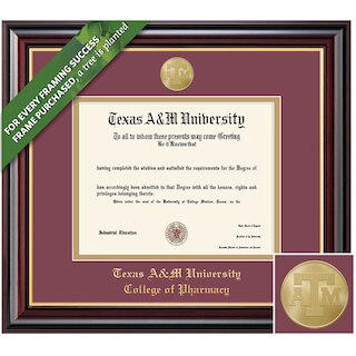 Framing Success 12.5 x 16 Windsor Gold Medallion College of Pharmacy Diploma Frame