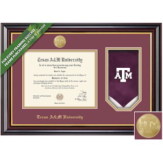 Framing Success 12 x 16 Windsor Gold Medallion Bachelors, Masters, PhD, Doc of Vet Med Diploma Frame