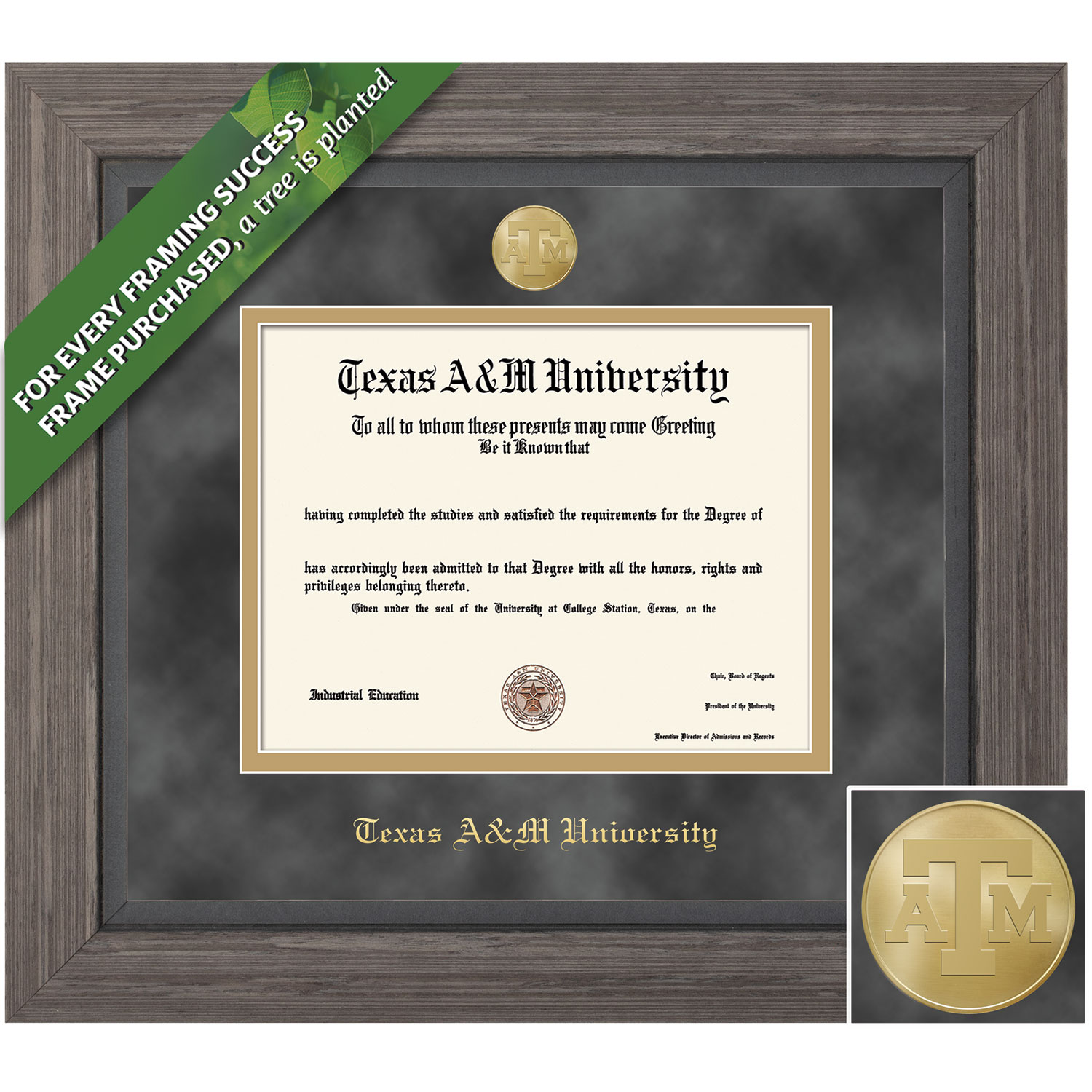 Framing Success 12 x 16 Greystone Gold Medallion Bachelors, Masters, PhD Diploma Frame