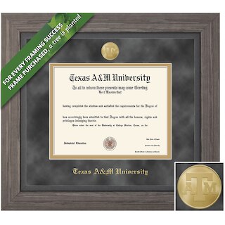 Framing Success 12 x 16 Greystone Gold Medallion Bachelors, Masters, PhD Diploma Frame