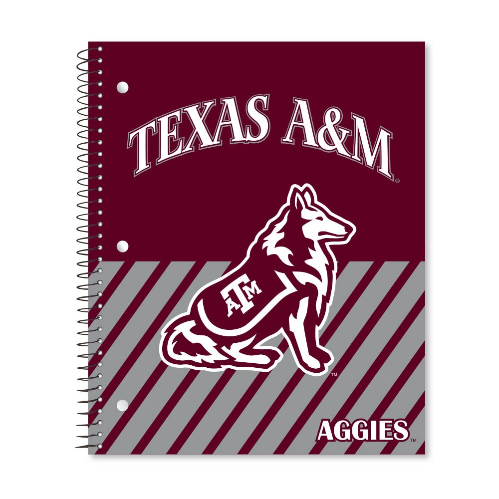 Digi Diagonal Stripe Divide 3 Subject 11"x9" College Ruled Spiral Notebook