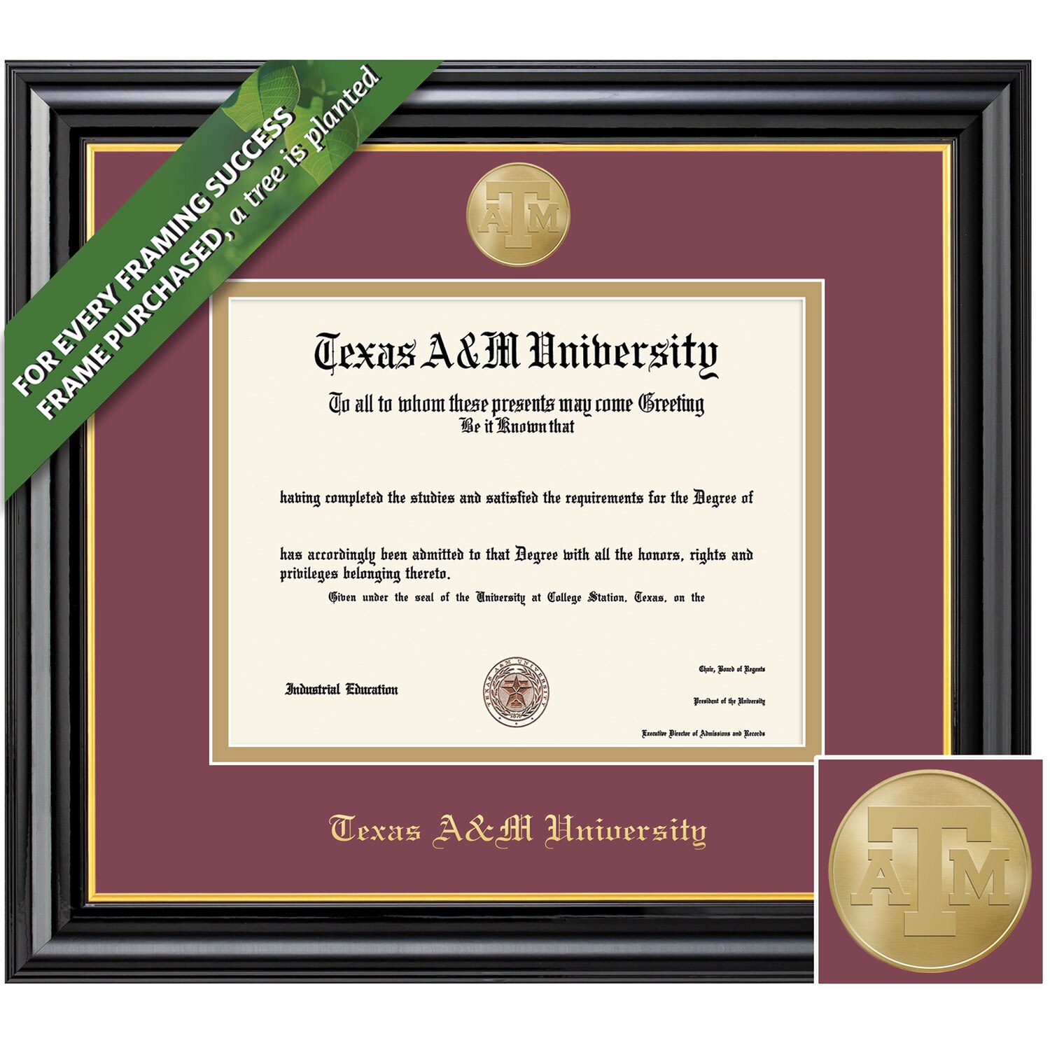 Framing Success 12 x 16 Coronado Gold Medallion Bachelors, Masters, Doctorate Diploma Frame