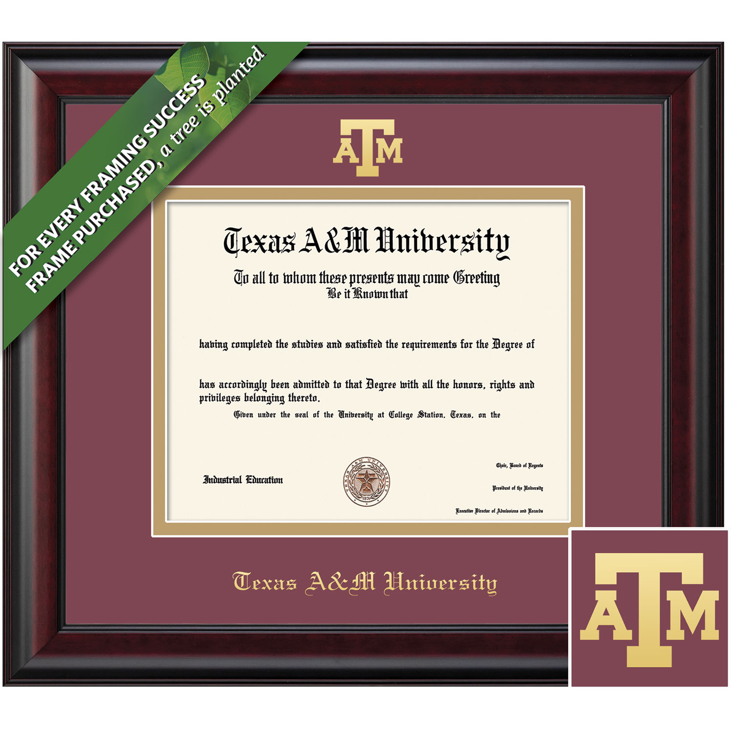 Framing Success 12 x 16 Classic Gold Embossed School Seal Bachelors, Masters, PhD, DVM Diploma Frame