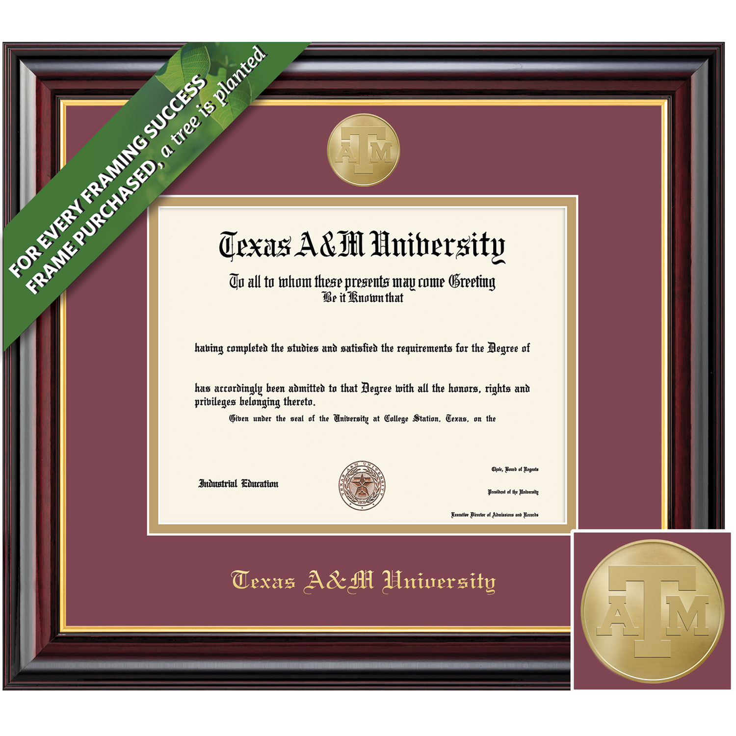 Framing Success 12 x 16 Windsor Gold Medallion Bachelors, Masters, PhD, DVM Diploma Frame