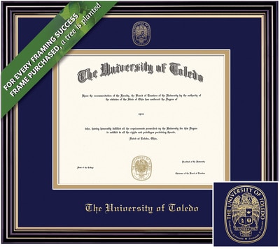 Framing Success 8 x 10 Prestige Gold Embossed School Seal Bachelors Diploma Frame