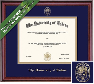 Framing Success 11 x 14 Classic Gold Embossed School Seal Masters, Doctorate, Law Diploma Frame