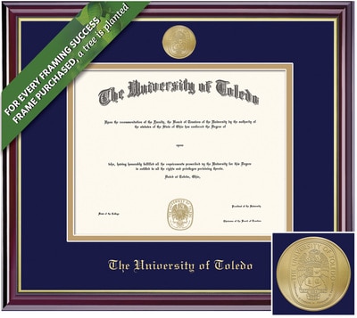 Framing Success 11 x 14 Windsor Gold Medallion Masters, Doctorate, Law Diploma Frame