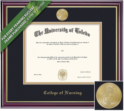 Framing Success 11 x 14 Windsor Gold Medallion Nursing Diploma Frame