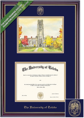 Framing Success 8 x 10 Classic Gold Embossed School Seal Bachelors Diploma/Litho Frame