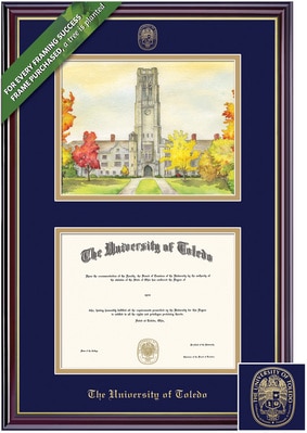 Framing Success 11 x 14 Classic Gold Embossed School Seal Masters, Doctorate, Law Diploma/Litho Frame