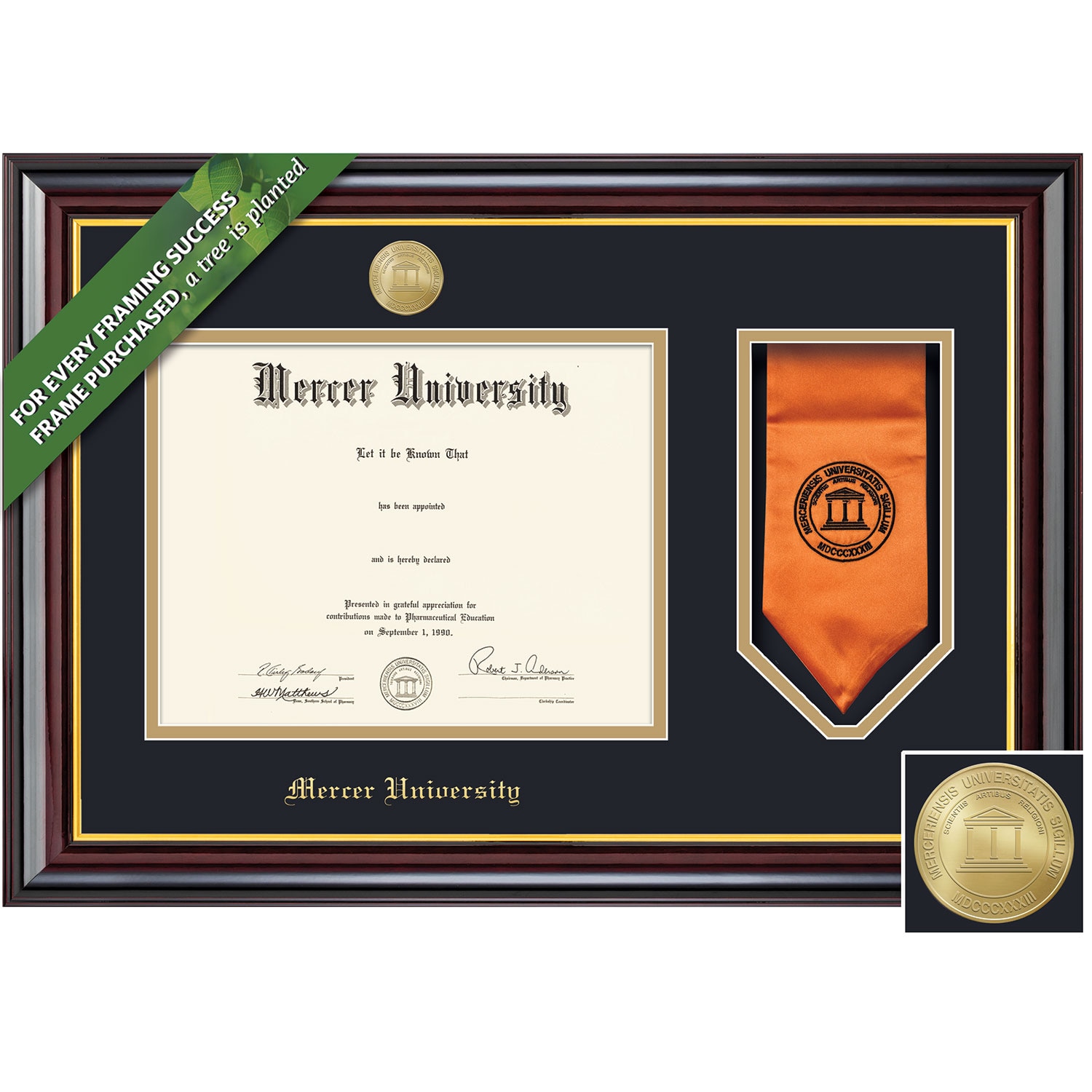 Framing Success 8.5 x 11 Windsor Gold Medallion Bachelors, Masters Diploma/Stole Frame