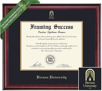 Framing Success 12 x 15 Classic Gold Embossed School Seal Masters Diploma Frame