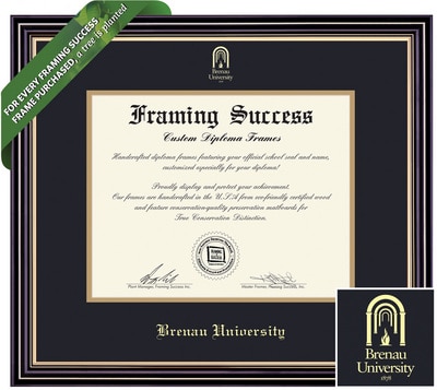 Framing Success 12 x 15 Prestige Gold Embossed School Seal Masters Diploma Frame