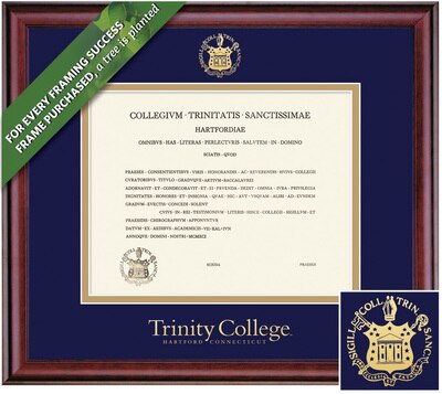 Framing Success 8.5 x 11 Classic Gold Embossed Seal Bachelors, Masters Diploma Frame.