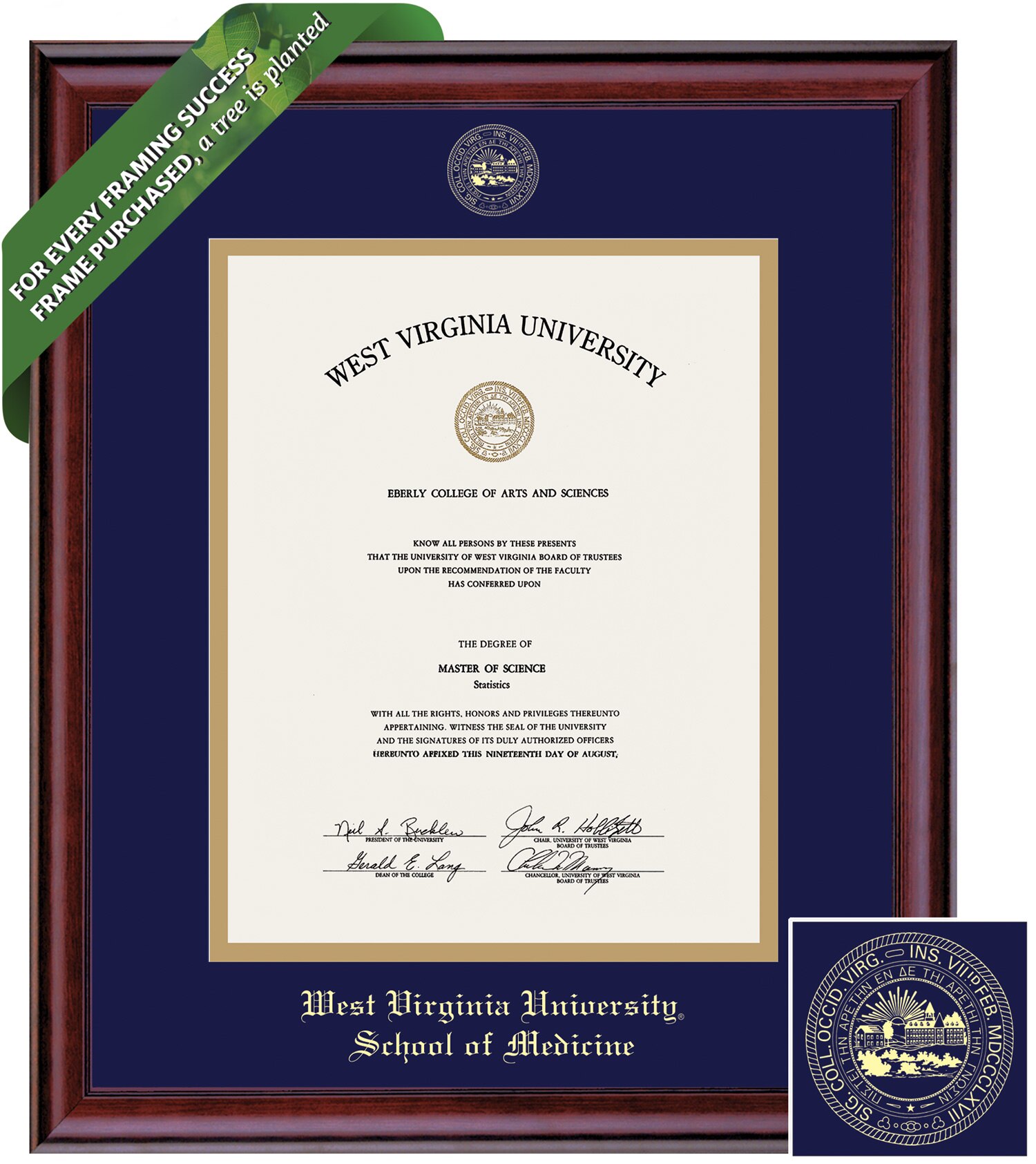 Framing Success 14 x 11 Classic Gold Embossed School Seal Medicine Diploma Frame