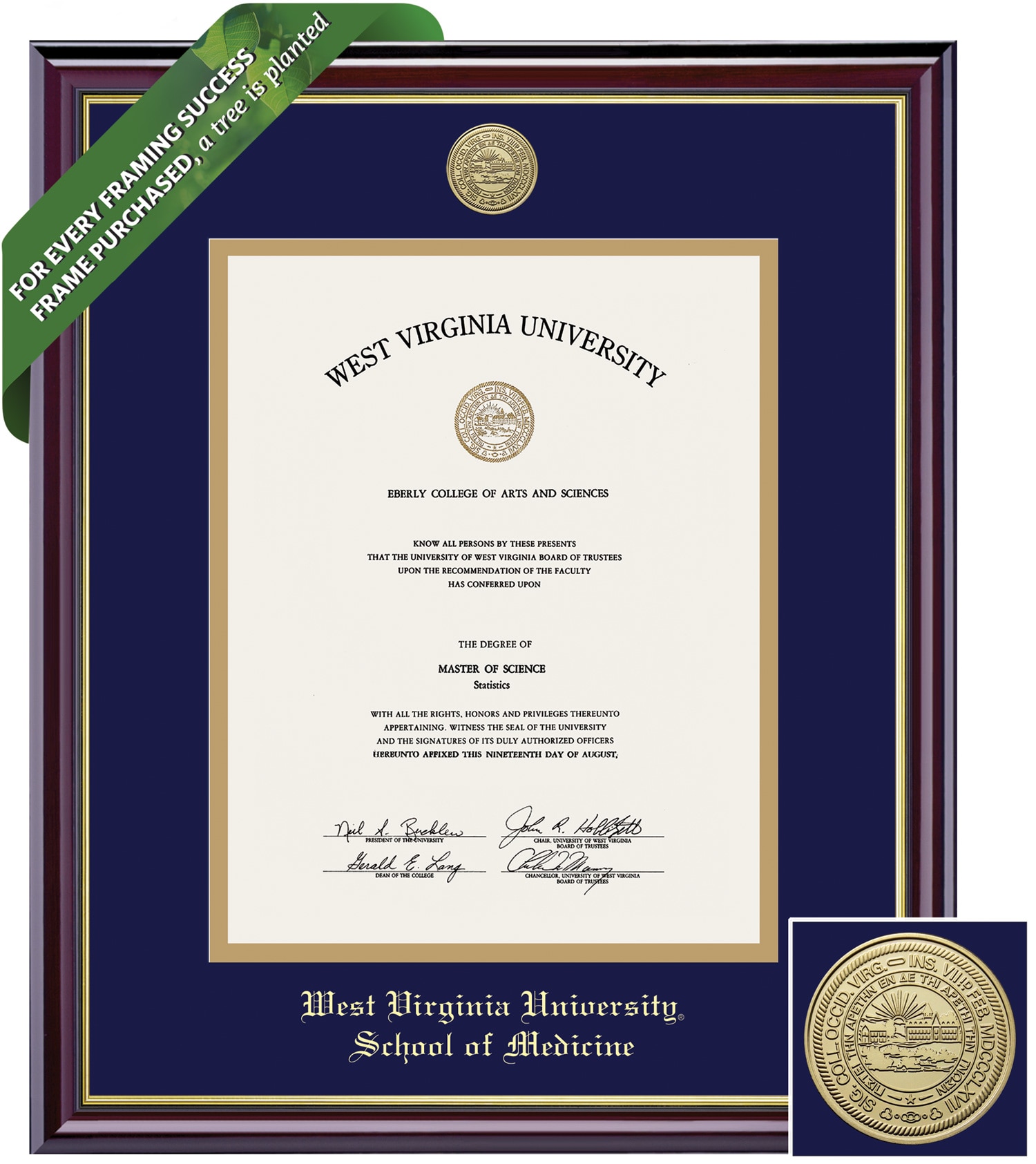 Framing Success 14 x 11 Windsor Gold Medallion Medical Diploma Frame