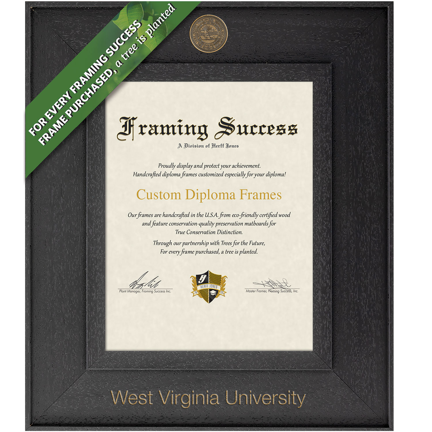 Framing Success 14 x 11 Cavalier Antiqued Medallion Bachelors, Masters Diploma Frame