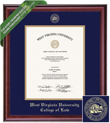 Framing Success 14 x 11 Classic Gold Embossed School Seal Law Diploma Frame