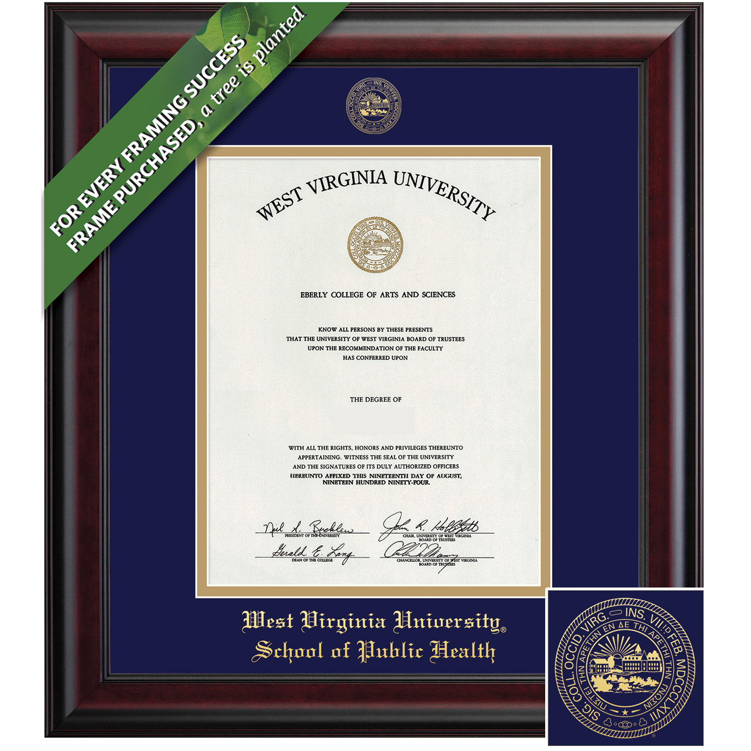 Framing Success 14 x 11 Classic Gold Embossed School Seal Public Health Diploma Frame