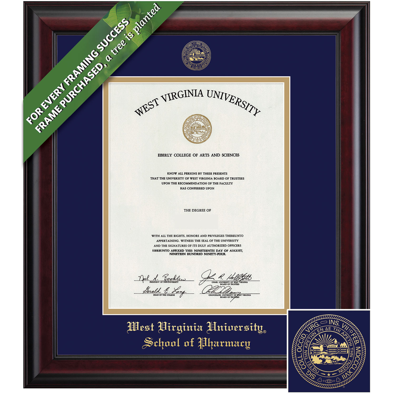 Framing Success 14 x 11 Classic Gold Embossed School Seal Pharmacy Diploma Frame