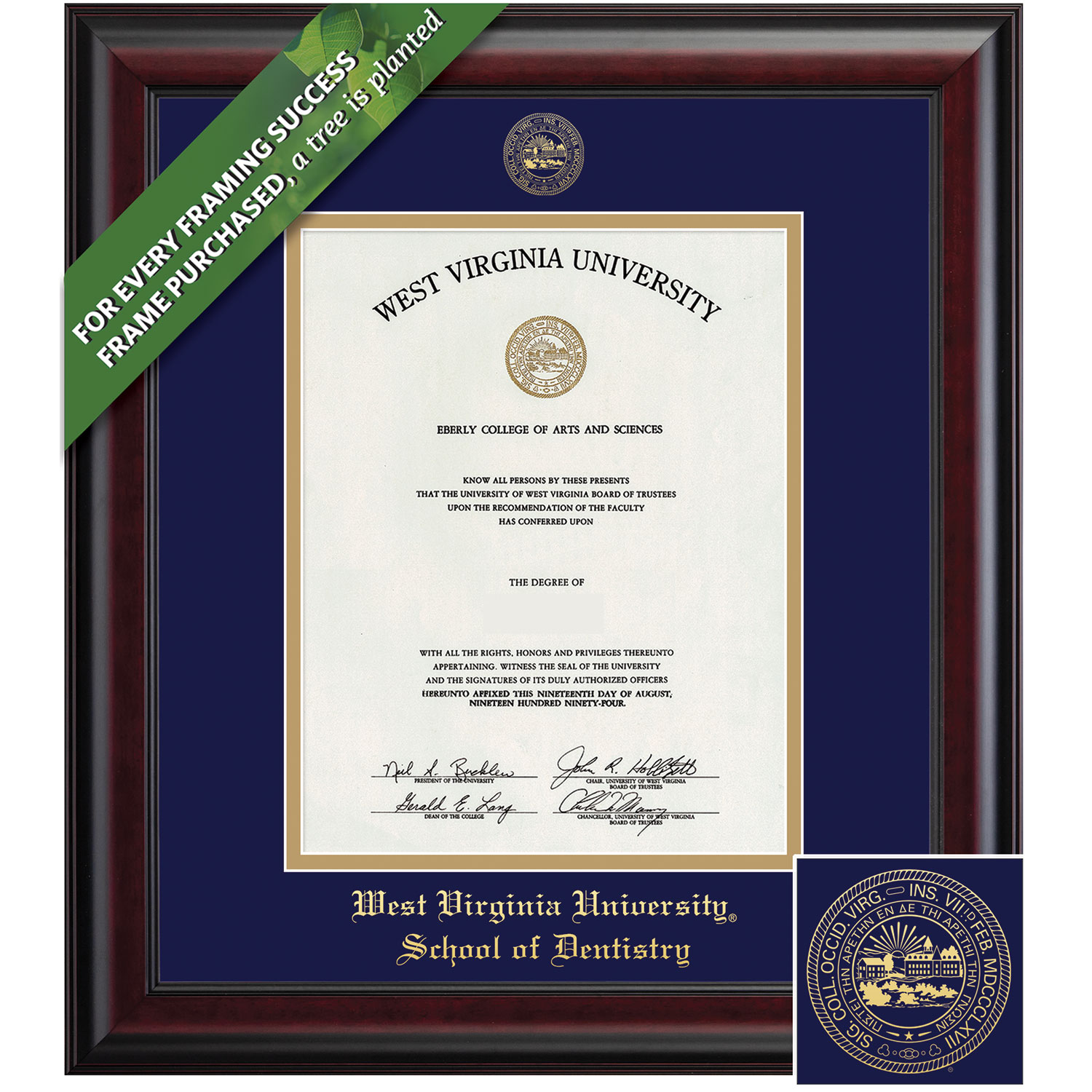 Framing Success 14 x 11 Classic Gold Embossed School Seal Dentistry Diploma Frame