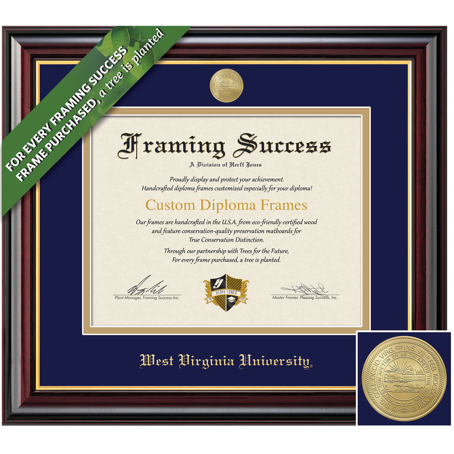 Framing Success 8.5 x 11 Windsor Gold Medallion Residency Certificate Frame