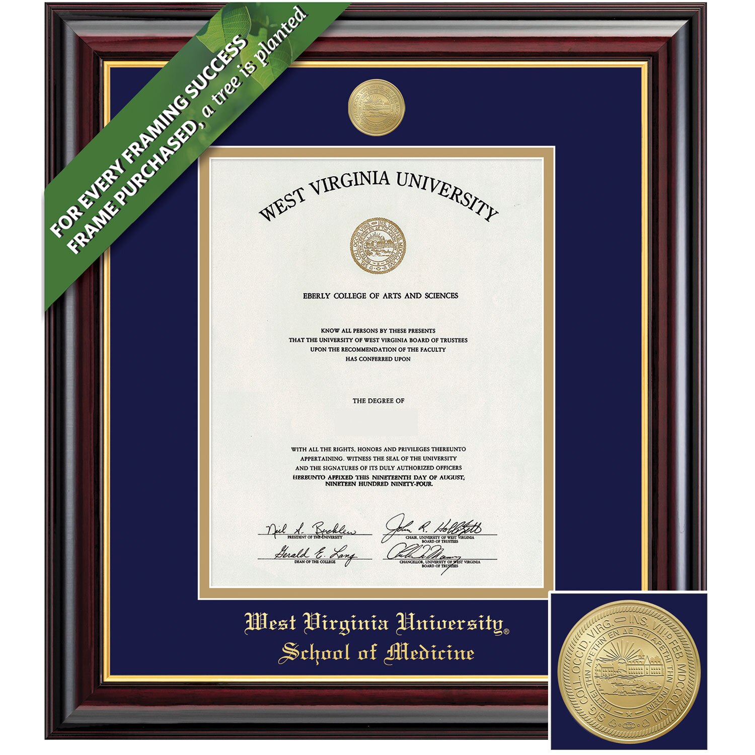 Framing Success 14 x 11 Windsor Gold Medallion Medical Diploma Frame