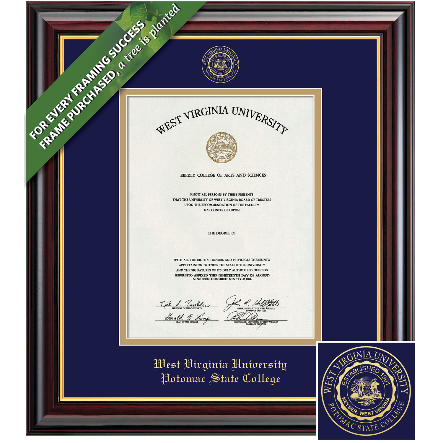 Framing Success 14 x 11 Windsor Gold Embossed School Seal Bachelors Diploma Frame