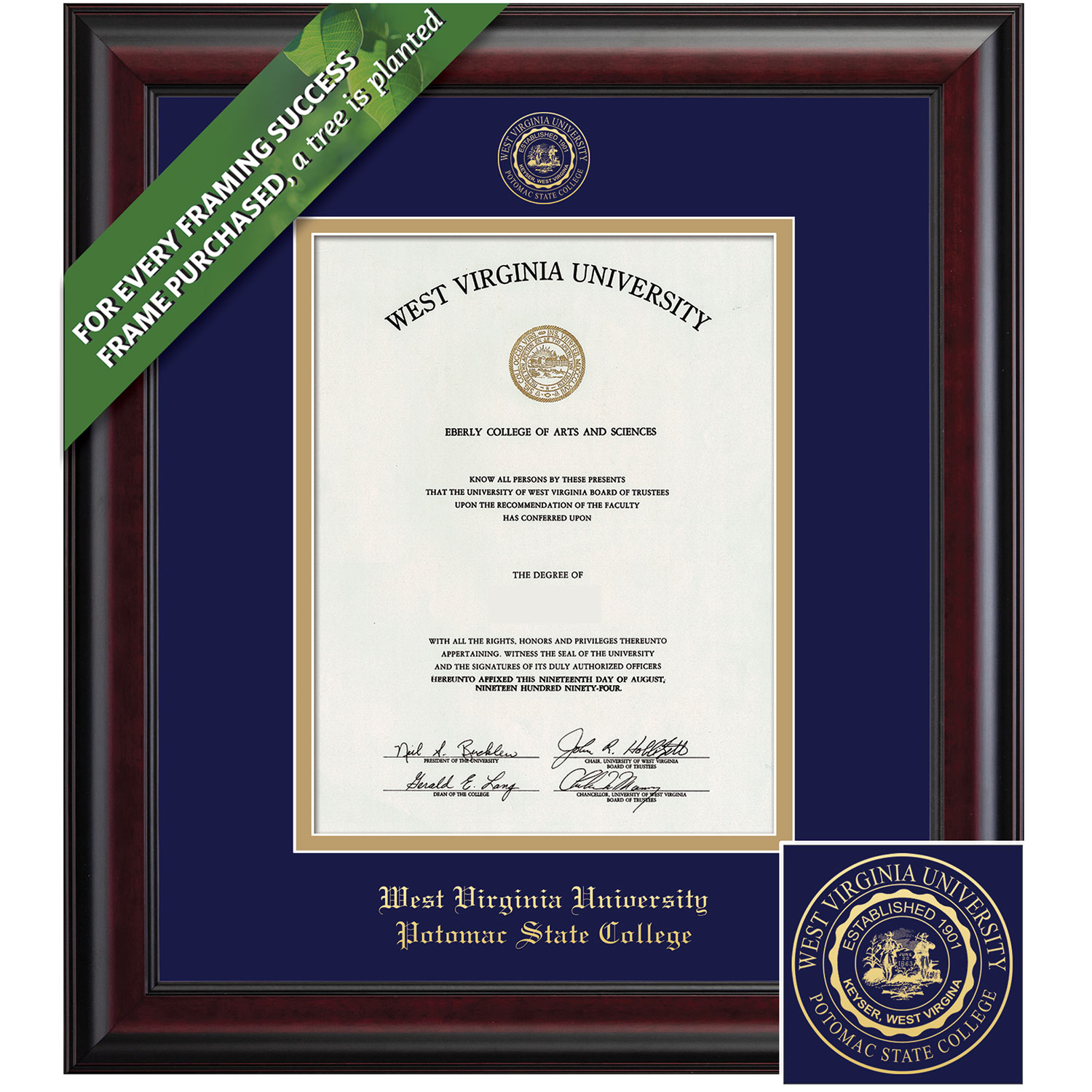 Framing Success 14 x 11 Classic Gold Embossed School Seal Bachelors Diploma Frame