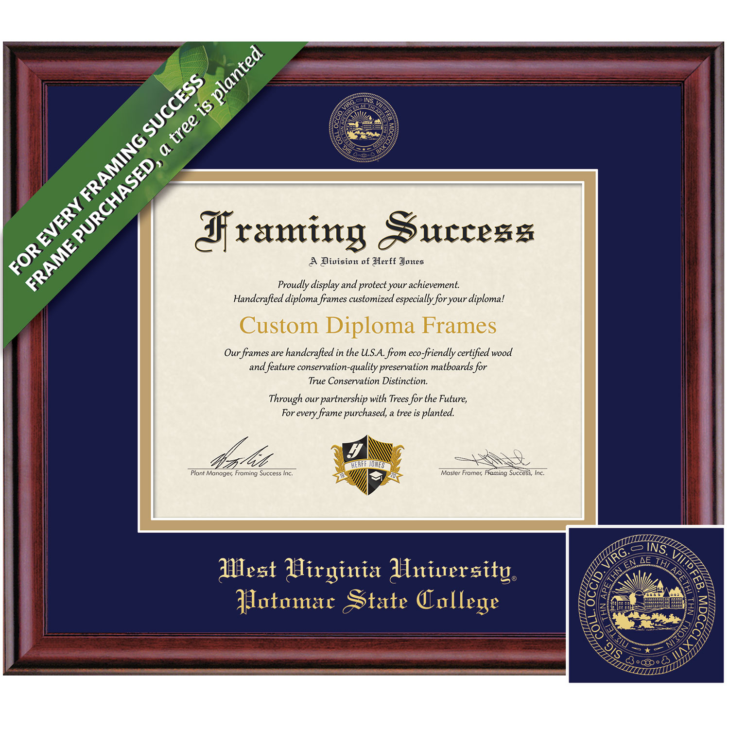 Framing Success 7 x 9 Classic Gold Embossed School Seal Bachelors, Masters Diploma Frame