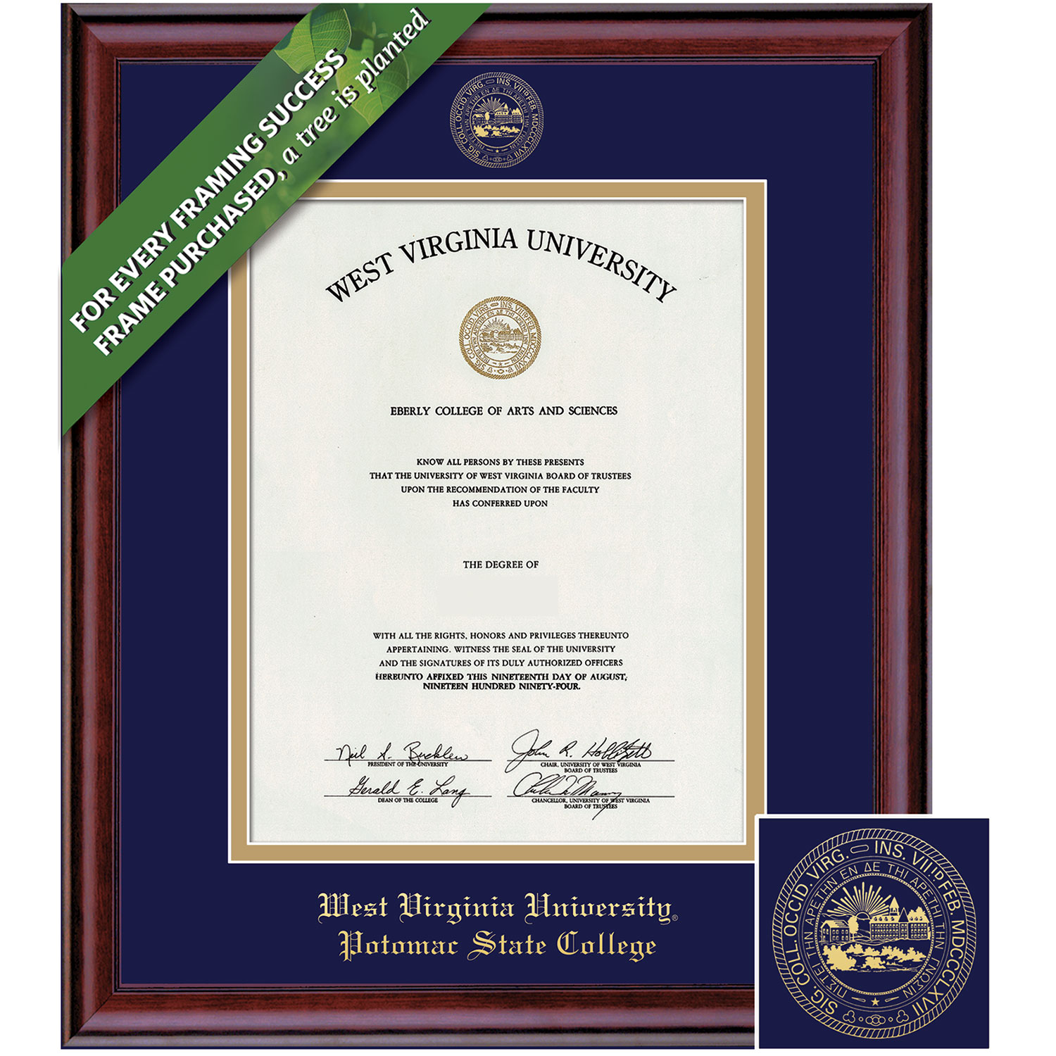 Framing Success 11 x 8.5 Classic Gold Embossed School Seal Bachelors of Science Diploma Frame