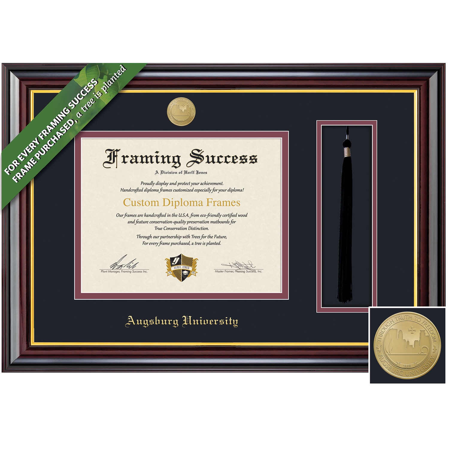Framing Success 8.5 x 11 Windsor Gold Medallion Bachelors, Masters Diploma/Tassel Frame