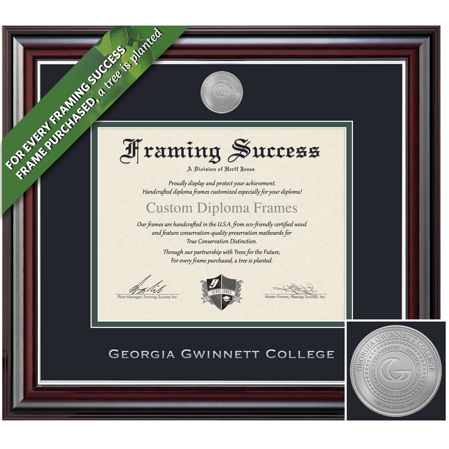 Framing Success 11 x 14 Jefferson Silver Medallion Bachelors Diploma Frame