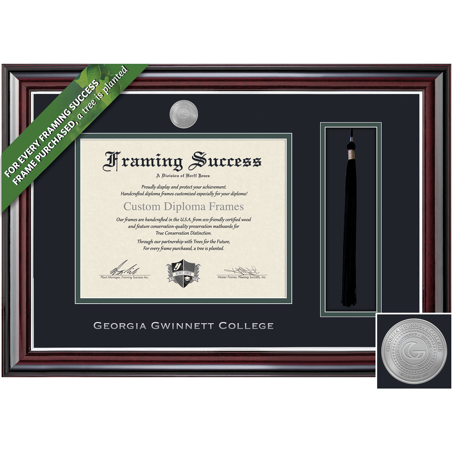 Framing Success 11 x 14 Jefferson Silver Medallion Bachelors Diploma/Tassel Frame
