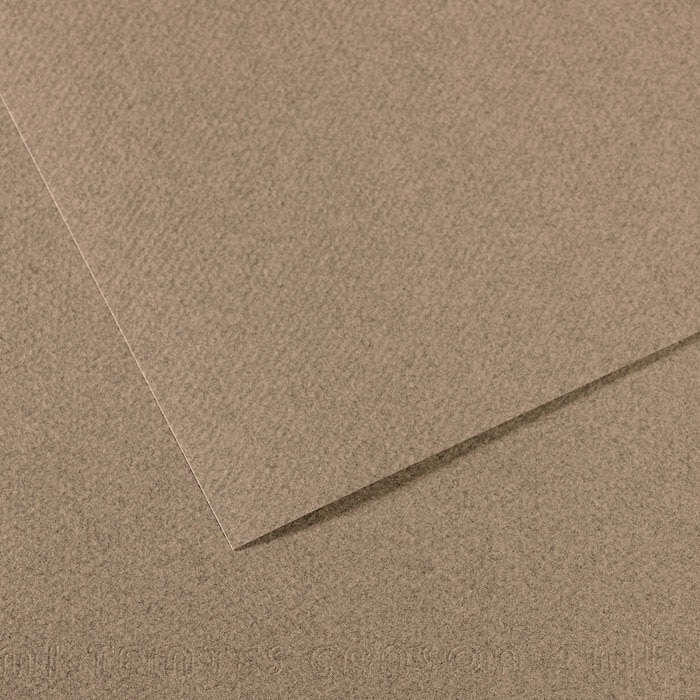 Canson Mi-Teintes Drawing Paper - 19" x 25" Steel Gray Single Sheet