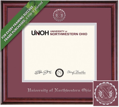 Framing Success 7 x 9 Classic Silver Embossed School Seal Associates, Bachelors Diploma Frame