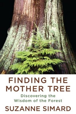 Finding the Mother Tree: Discovering the Wisdom of the Forest