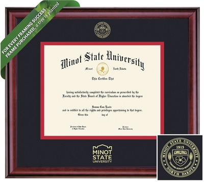 Framing Success 6 x 8 Classic Gold Embossed School Seal Bachelors Diploma Frame