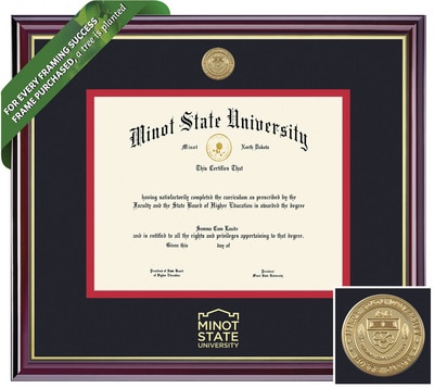 Framing Success 6 x 8 Windsor Gold Medallion Bachelors Diploma Frame