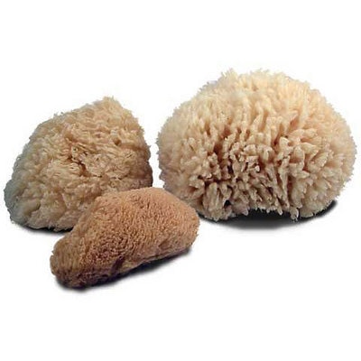 Royal Brush Craft Sack Natural Sea Sponges, 6/Pkg.