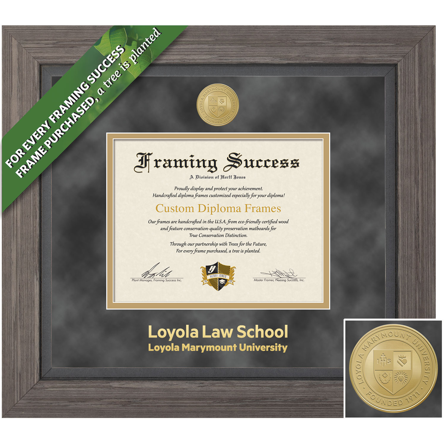 Framing Success 11 x 14  Greystone Gold Medallion Law Diploma Frame